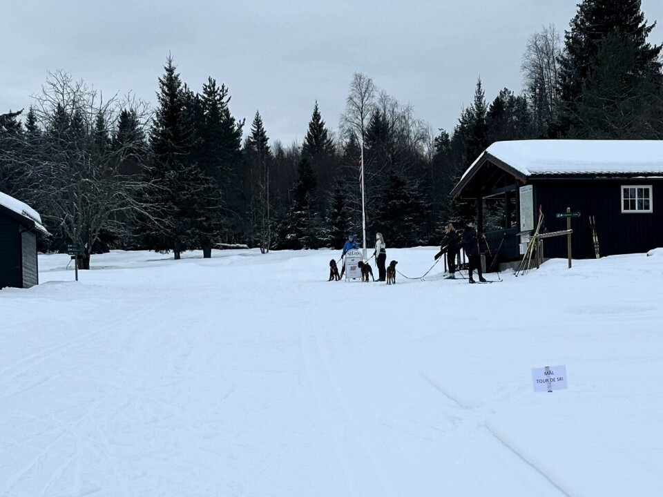 Tidenes beste Tour de ski i Elverum