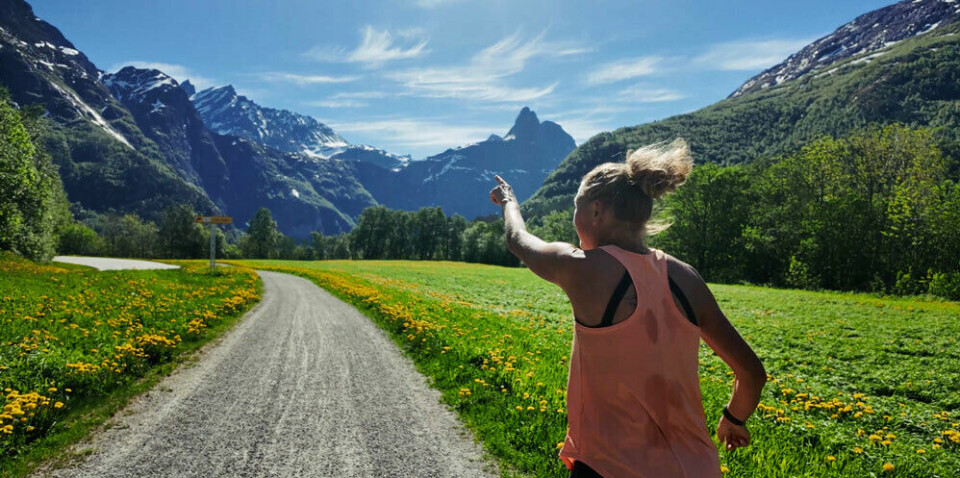 Stillbilde fra filmen “The Romsdal method”.