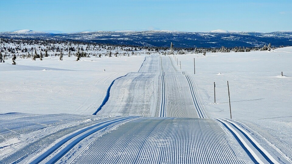 Birkebeinerløypa over Raudfjellet 28. febuar i år. (Foto: Torstein Eriksen/Birken) Birkebeinerløypa over Raudfjellet 28. febuar i år. (Foto: arrangøren)