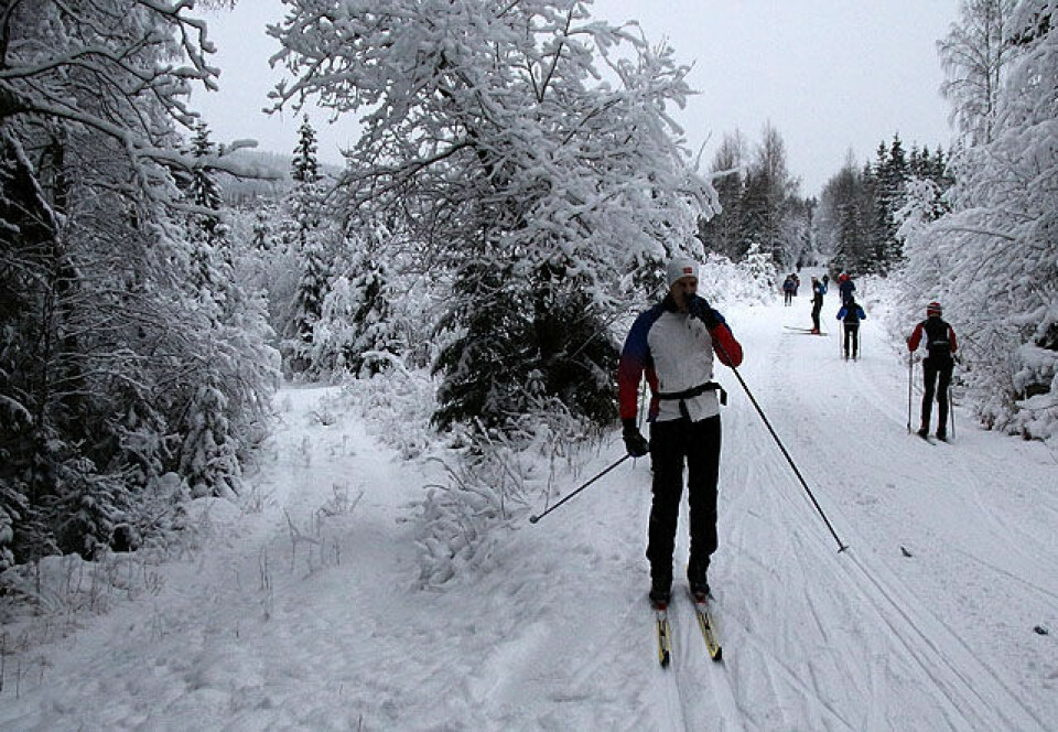 Dammen og Krüger vant Sørkedalsrennet To_loeyper_IMG_3180.jpg