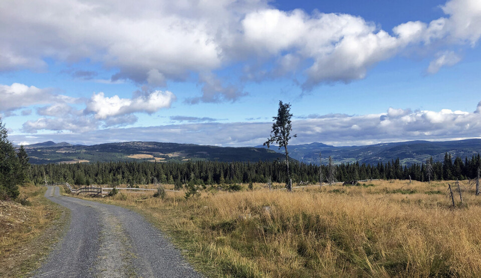 Er det nå du skal begynne å løpe? gausdal.jpg