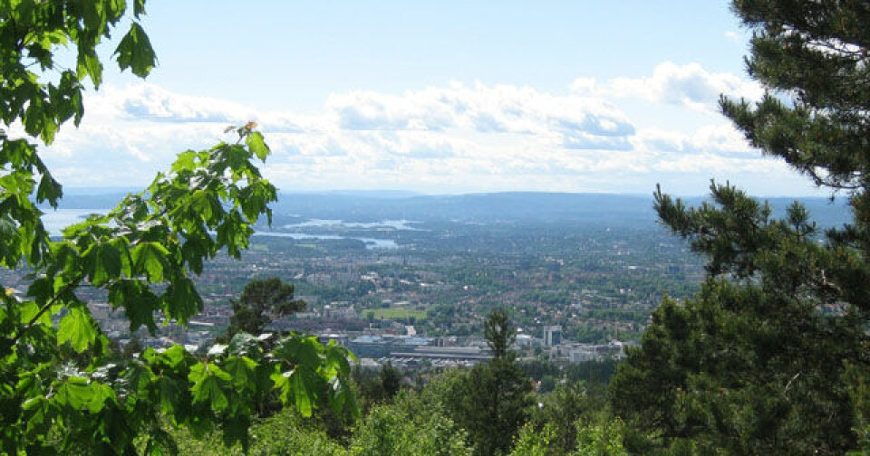 Grefsenkollen Opp: Samleside