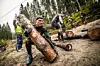 2015.06.01_taff_wiking_03_timber.jpg