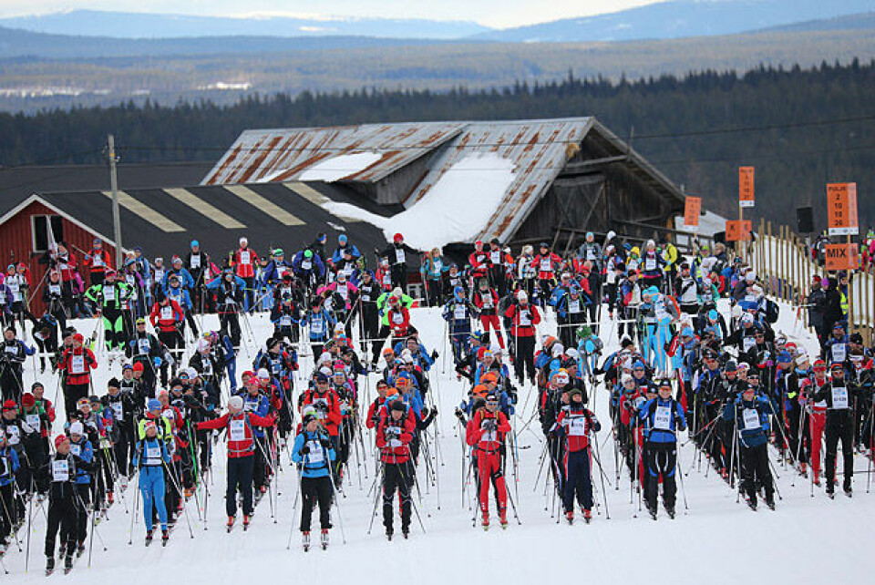 Klar for start: Deltakerne i FredagsBirken stiller opp på Tingstadjordet noen km fra Rena sentrum. (Foto: Geir Olsen/Birken) Klar for start: Deltakerne i FredagsBirken stiller opp på Tingstadjordet noen km fra Rena sentrum. (Foto: Geir Olsen/Birken)