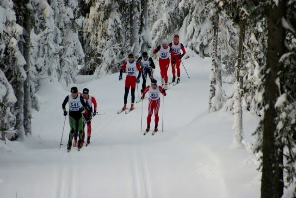 Lovende telemarking vant Bjoern Hoeiby (640x428)