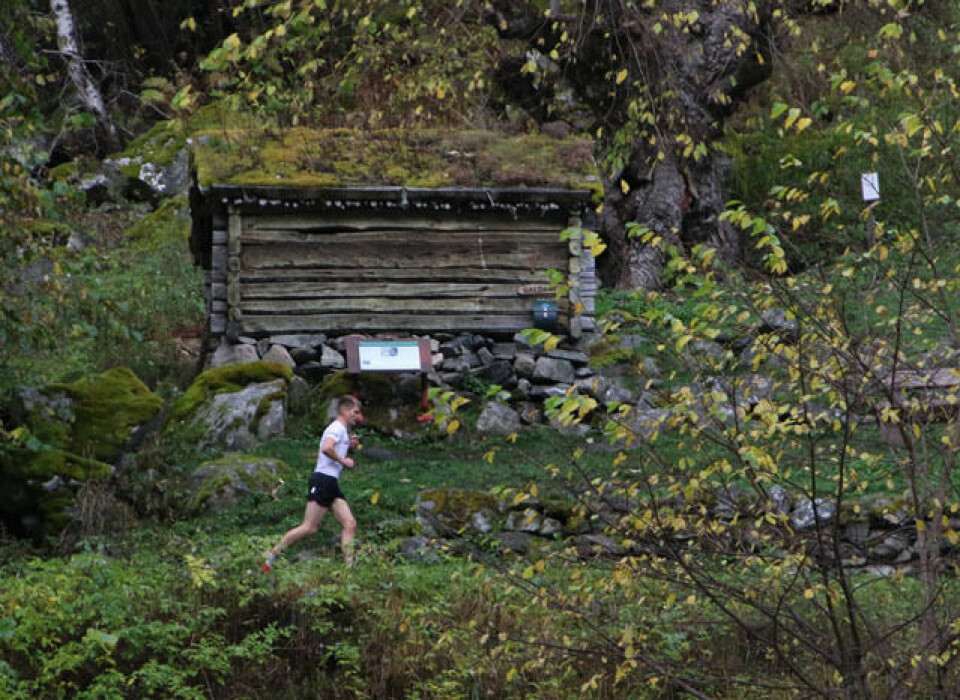 14-åring vant Galdane Rundt og løyperekord av Dvergsdal Natur_kultur_Menneskje_527A5610.jpg
