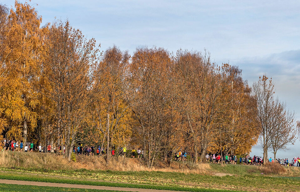 Henrik Ingebrigtsen og Meraf Bahta vant Hytteplanmila under ideelle forhold 2km_oversiktsbilde_lopere_hoeye_traer_foto_OASchlytter_70.jpg