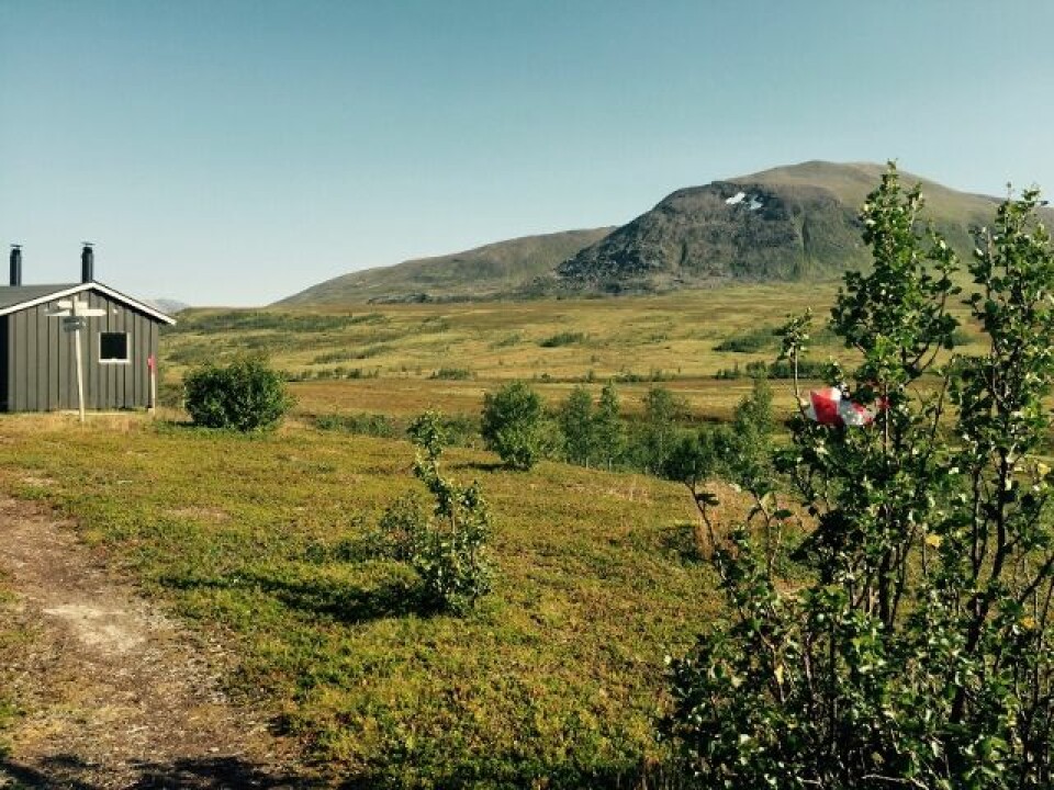 Hilde Aders og Emil Wingstedt vant Trømsø Mountain Ultra og trippelen Nonsbu13,6km (640x480).jpg