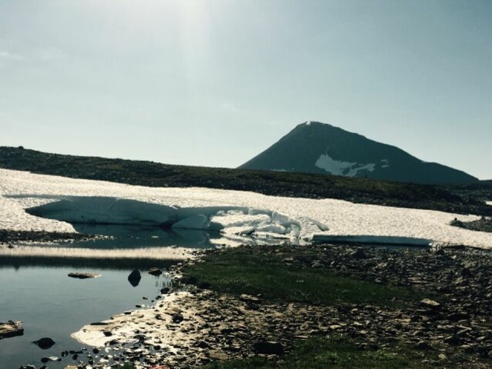 Hilde Aders og Emil Wingstedt vant Trømsø Mountain Ultra og trippelen 27km2 (640x479).jpg