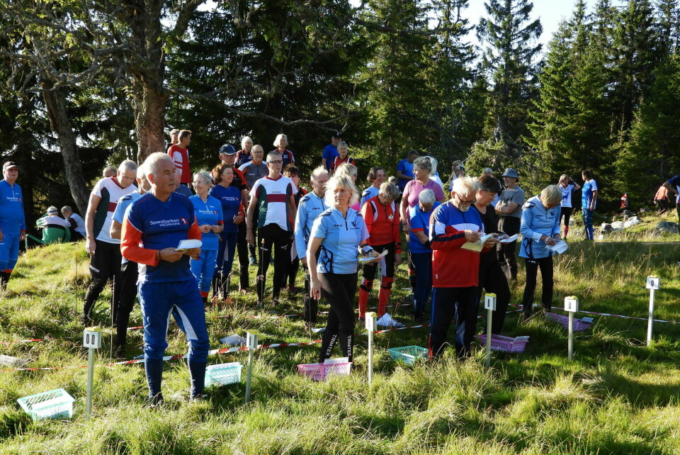 Fjellfølelse på bedrifts o-løp fra Lageråkvisla Planlegger hvor man skal l¢pe til f¢rte post.jpg