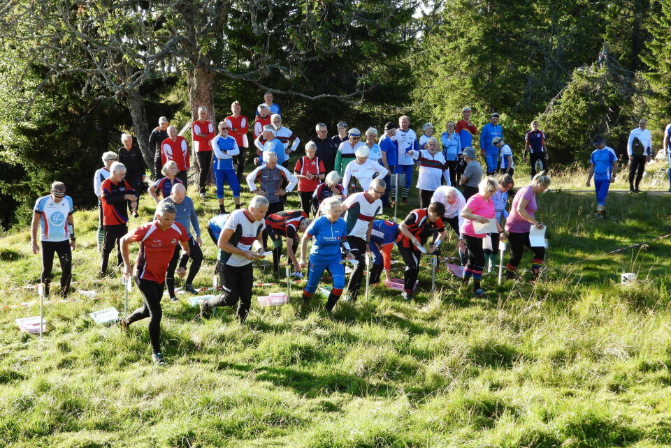 Fjellfølelse på bedrifts o-løp fra Lageråkvisla Klare til start.jpg