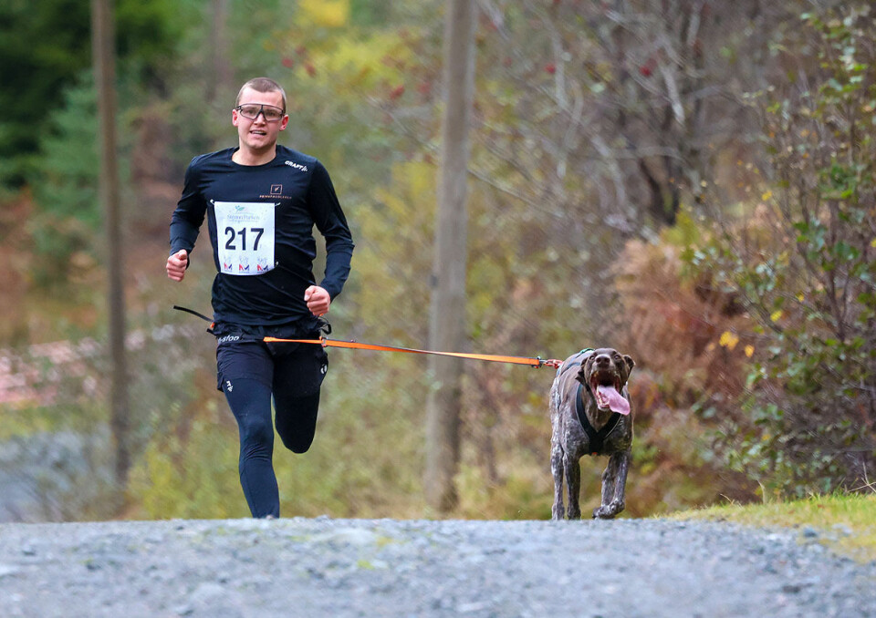 Høy fart og ivrige hunder under NM i hundekjøring 1U9A3414.jpg