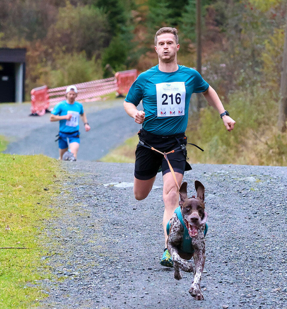 Høy fart og ivrige hunder under NM i hundekjøring 1U9A3396.jpg