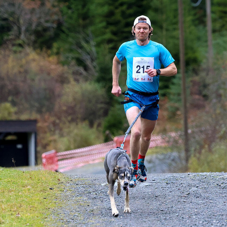 Høy fart og ivrige hunder under NM i hundekjøring 1U9A3407.jpg