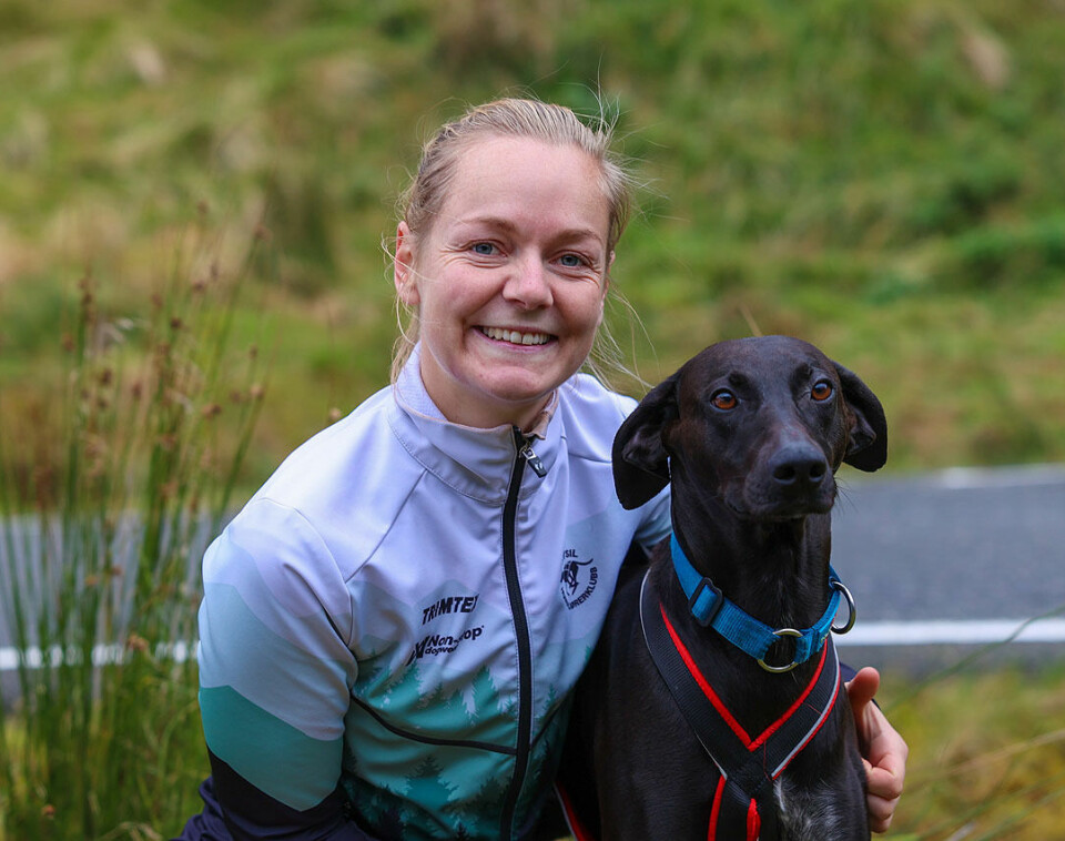 Høy fart og ivrige hunder under NM i hundekjøring 1U9A3594.jpg