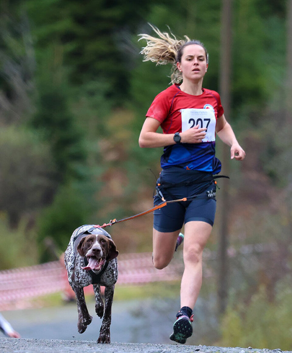 Høy fart og ivrige hunder under NM i hundekjøring 1U9A3175.jpg
