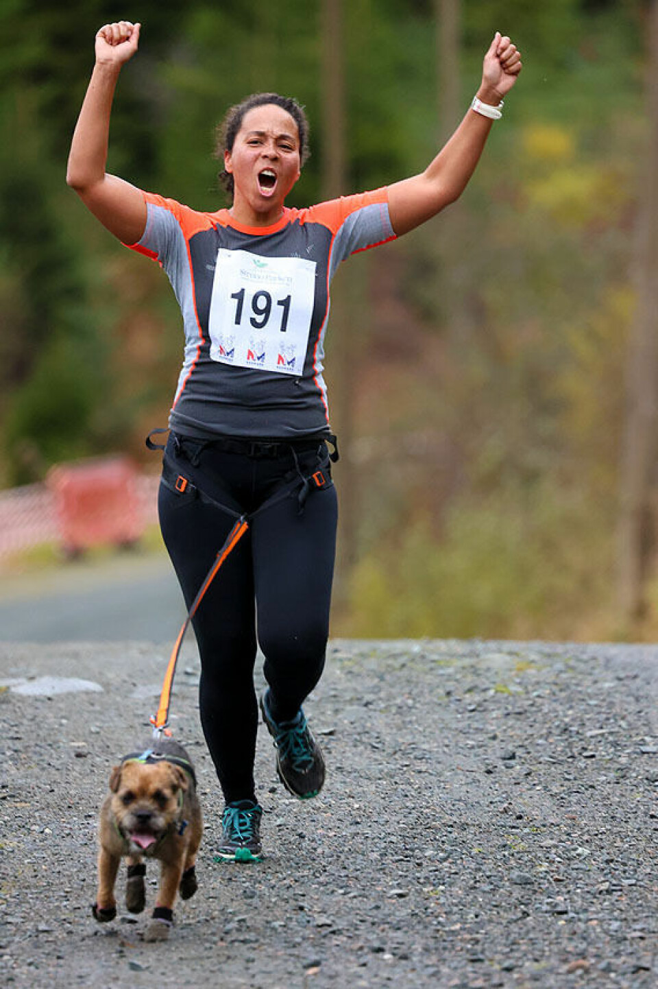 Høy fart og ivrige hunder under NM i hundekjøring 1U9A3091.jpg