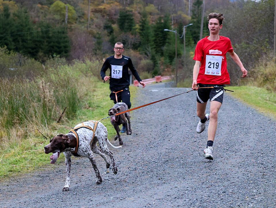 Høy fart og ivrige hunder under NM i hundekjøring 1U9A3534.jpg