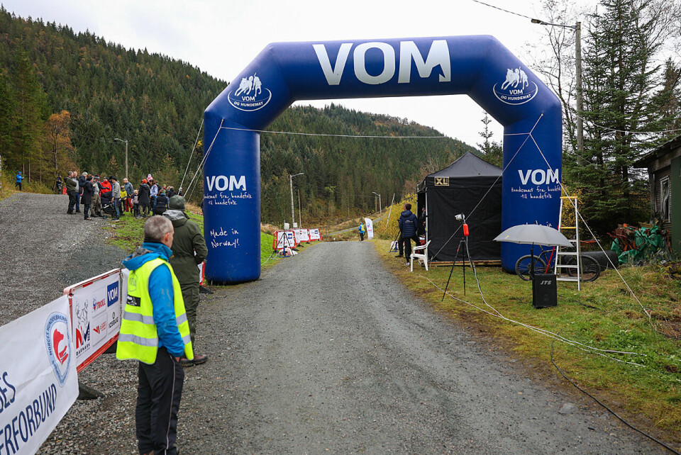 Høy fart og ivrige hunder under NM i hundekjøring 1U9A3634.jpg