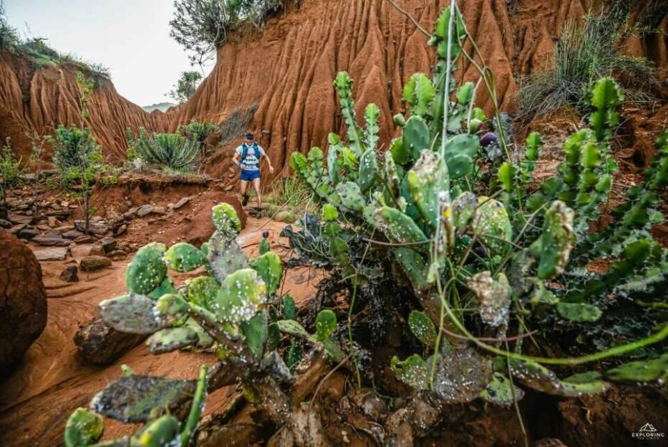 Frode Lein løp 230 kilometer gjennom fem naturreservat i Kenya