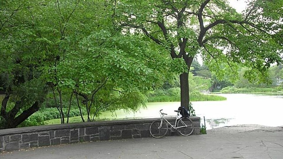 Sognsvann Rundt Medsols i New York CIMG1253p