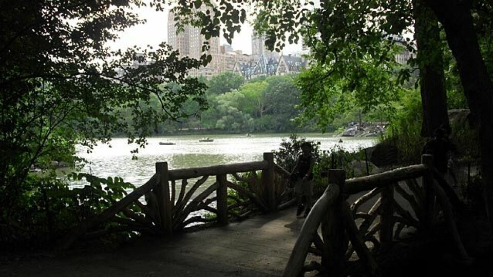 Sognsvann Rundt Medsols i New York CIMG1262p
