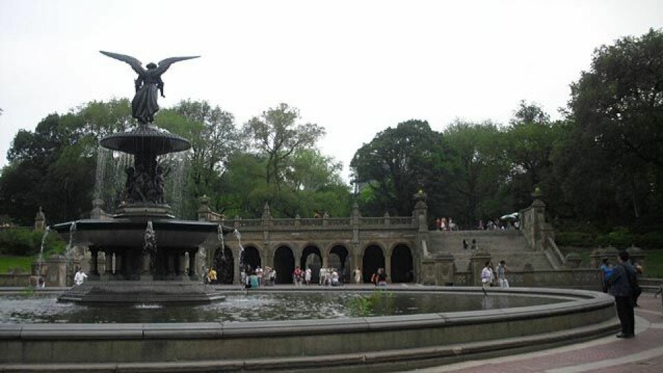 Sognsvann Rundt Medsols i New York CIMG1266p