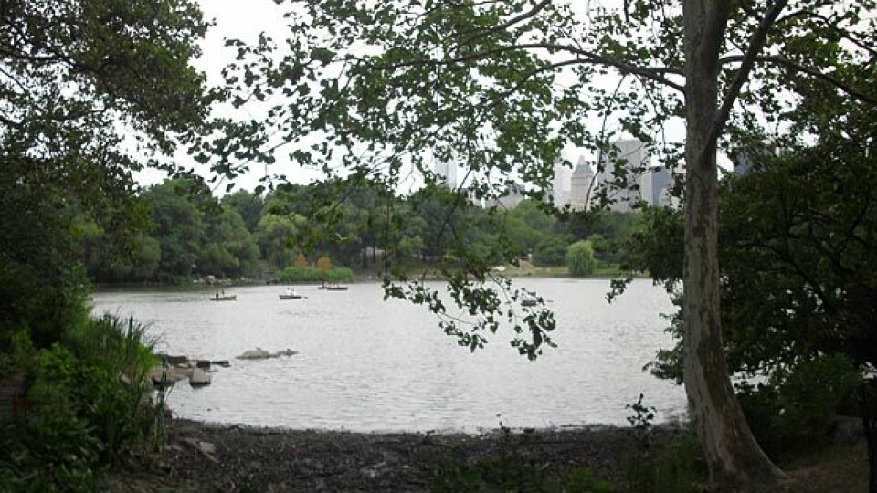 Sognsvann Rundt Medsols i New York CIMG1269p