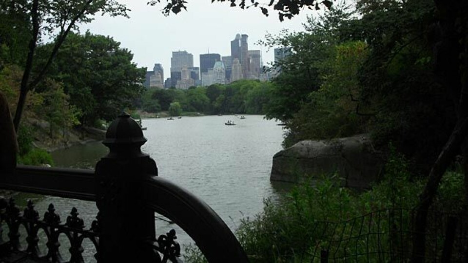 Sognsvann Rundt Medsols i New York CIMG1270p