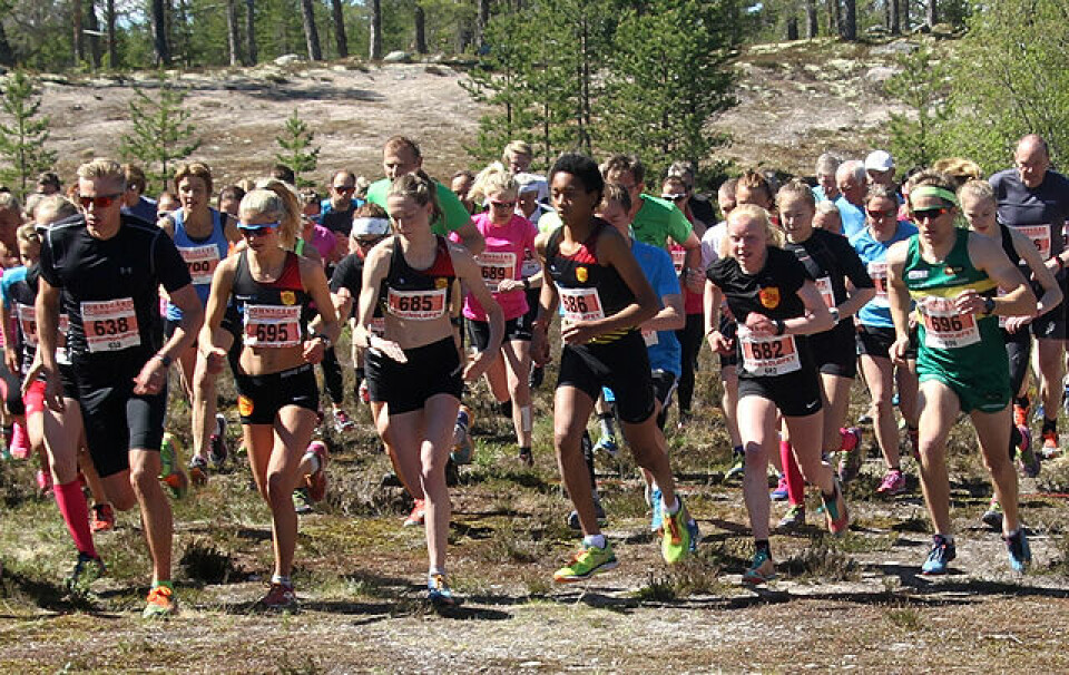 Fra starten på 10 km med vinnerne Espen Rusten (helt til venstre) og Ida Meli Narbuvoll (nr. 2 fra høyre) i første rekke. (Foto: Ola Lombnæs) Fra starten på 10 km med vinnerne Espen Rusten (helt til venstre) og Ida Meli Narbuvoll (nr. 2 fra høyre) i første rekke. (Foto: Ola Lombnæs)
