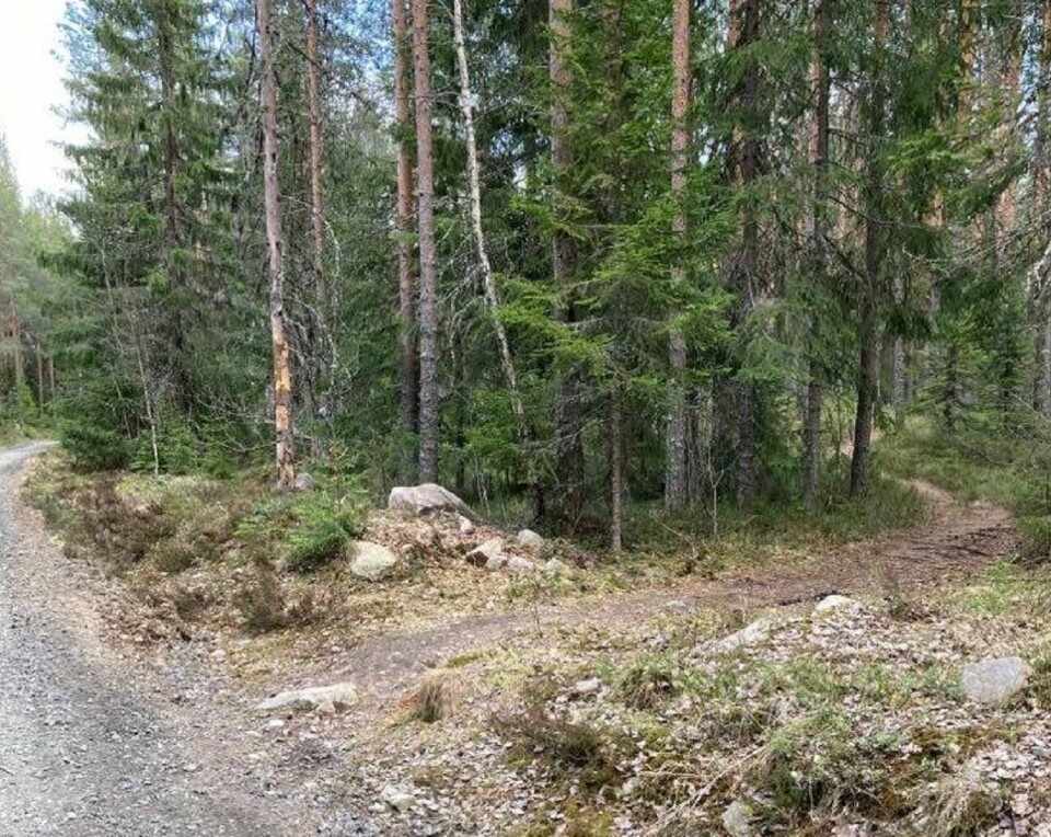 Stjernetreff med Stjernecup i Elverum Start-Jomfruen.jpg