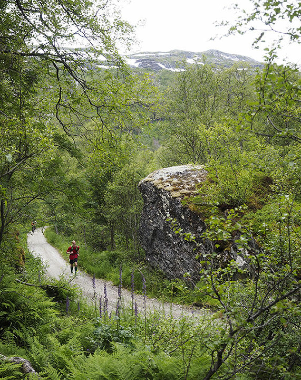 Gloria Vinstedt og Håkon Urdal vant 1. etappe i Rallarvegsløpet 7220129-11.jpg