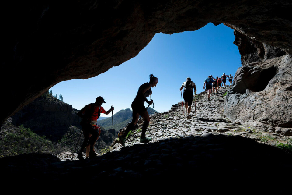 Med sine varierte løypetraséer som snor seg gjennom Gran Canarias dramatiske landskap tilbyr Transgrancanaria en unik utfordring for deltakerne. (Foto: David Delfour) Med sine varierte løypetraséer som snor seg gjennom Gran Canarias dramatiske landskap tilbyr Transgrancanaria en unik utfordring for deltakerne. (Foto: David Delfour)