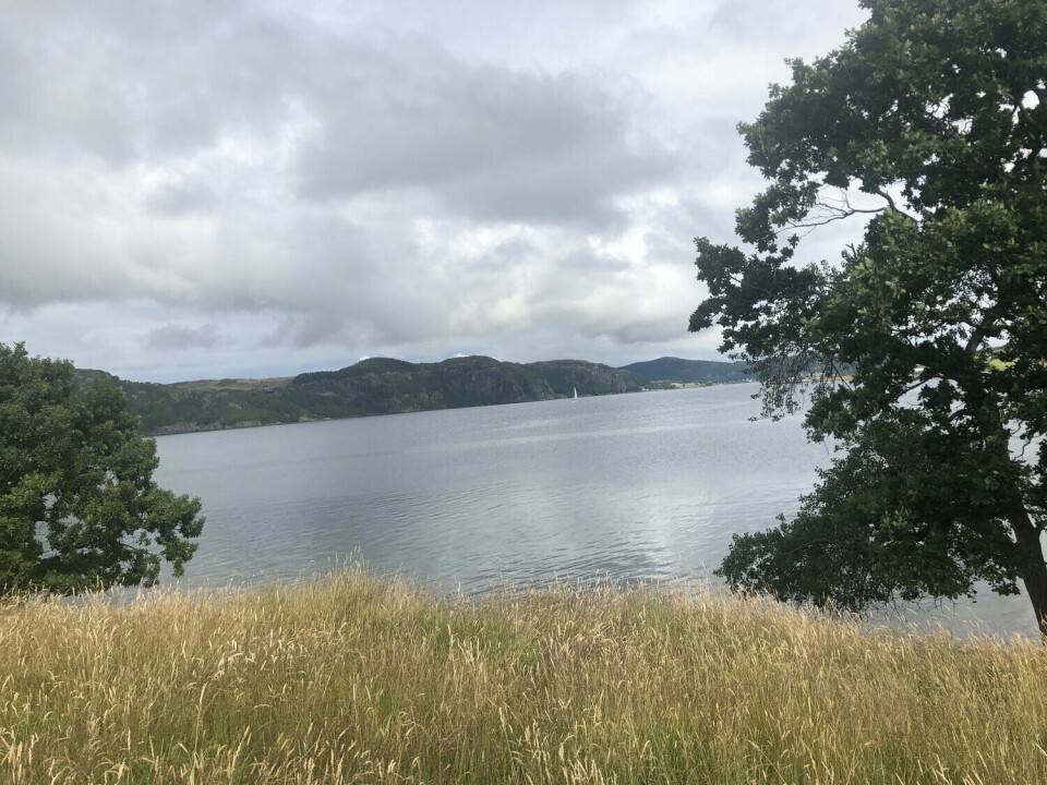 BLOGG: Plantar fascitt-kampen Siri_Klosterøya.jpeg