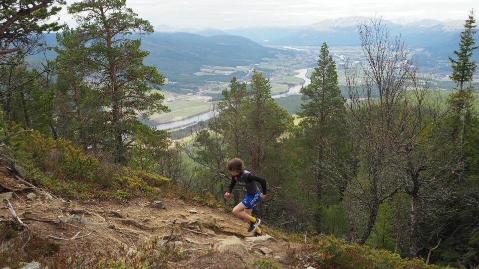 Esten Hansen-Møllerud Hauen på vei mot ny løyperekord. (Foto: Audun J. Lutnæs/Alvdalmiv) Esten Hansen-Møllerud Hauen på vei mot ny løyperekord. (Foto: Audun J. Lutnæs/Alvdalmiv)