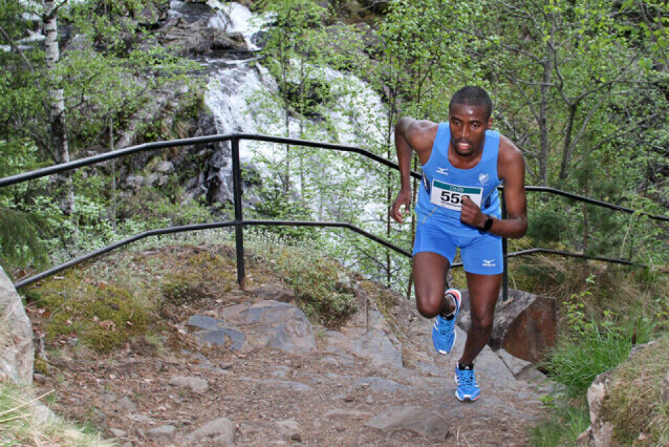 Løp- og deltakerrekord i Mesnaelva opp