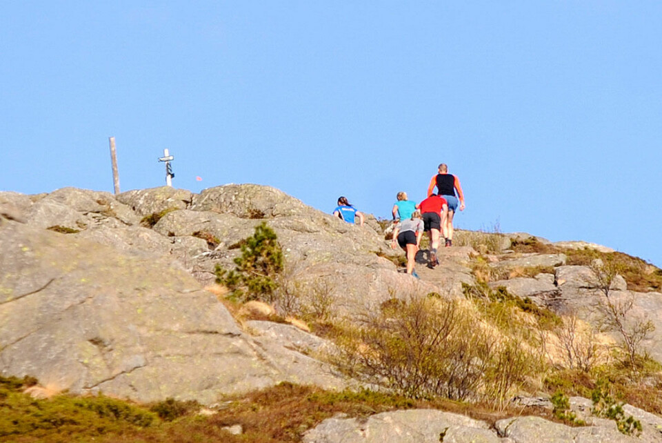 Anita Iversen Lilleskare og Anders Sommer var raskest over Kvitebjørn _DSC3591.jpg