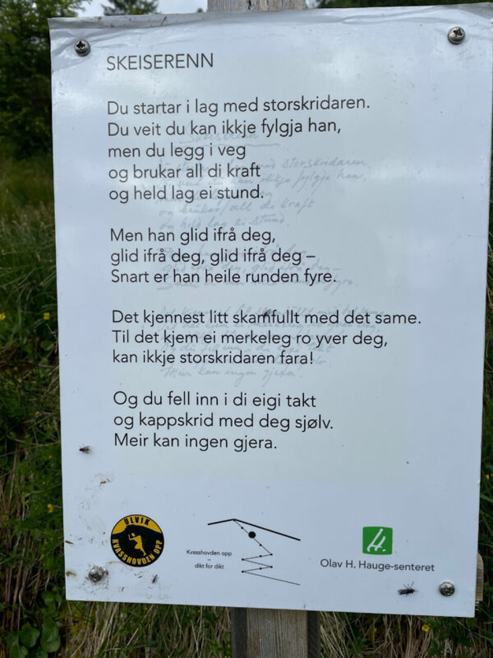 Løperparet Halfdan-Emil Færø og Karoline Holsen Kyte vant Kvasshovden Opp Skeiserenn_1_800.jpg