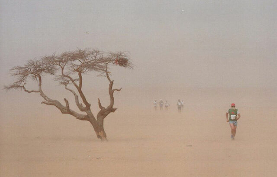 Ragnhild Audestad og Ingrid Sameien løper Sahara Marathon i dag sandstorm_640.jpg