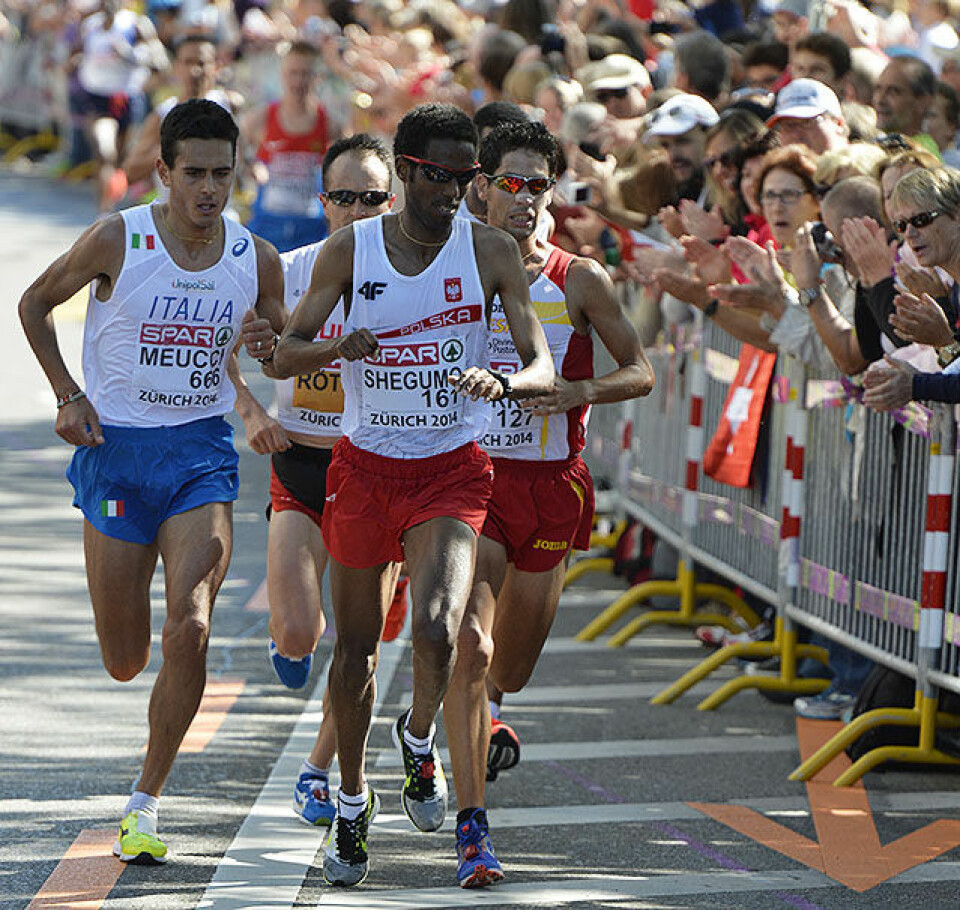 Meucci maratonmester, mens Brox vant Harstad-duellen maraton-menn-28km-hovedpulje-Meucci_D4N1292.jpg