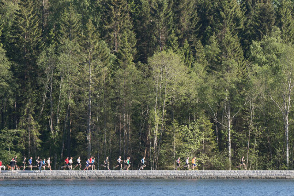 Sognsvann Rundt Medsols med 40 prosent perser Langs_Bryggekanten_31A3006.jpg