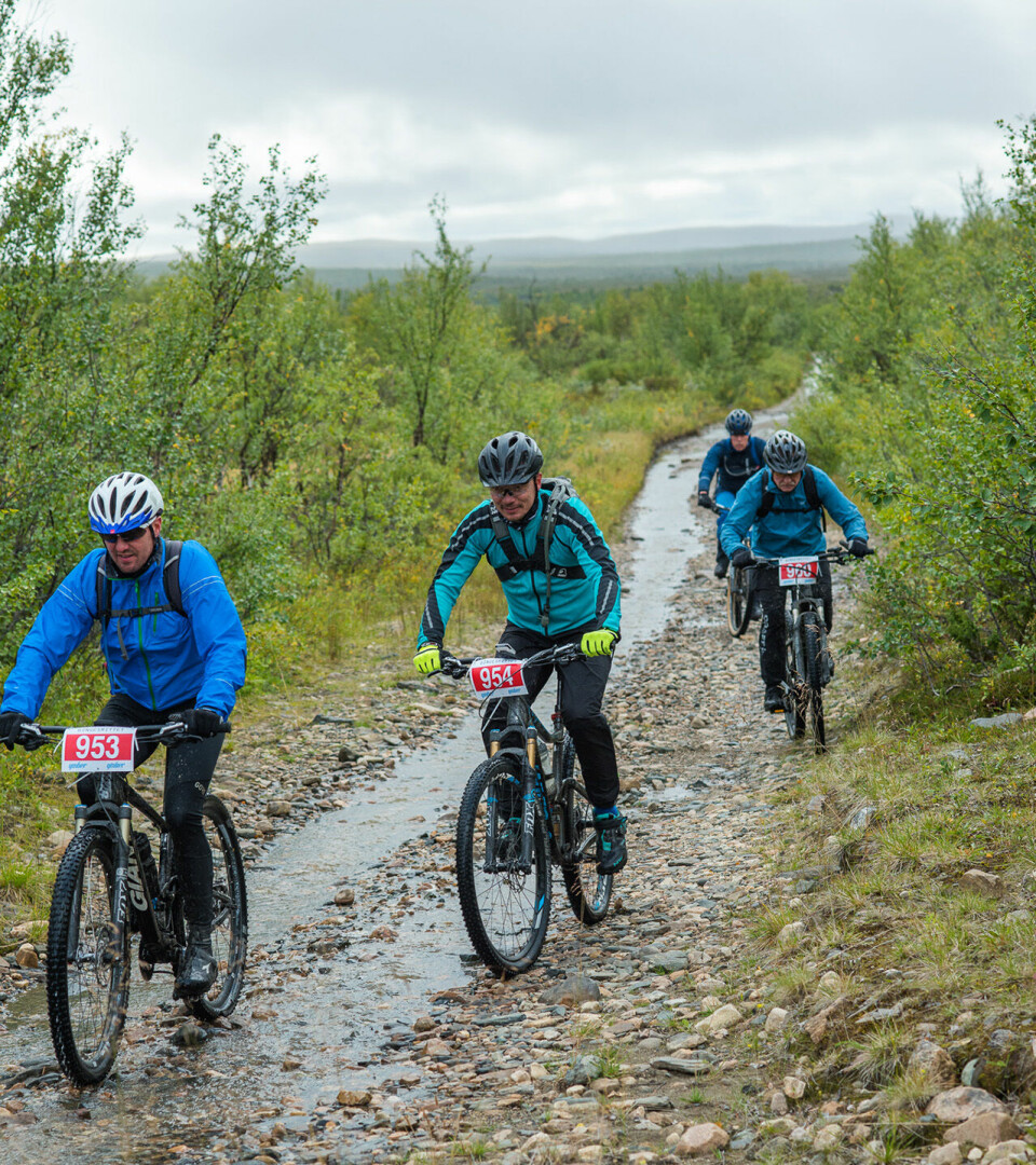 Ekteparet Pettersen Hammari vant Bingesrittet Ymber-Trimklasse-FOTO-Aslak-Anders-Skum.jpg