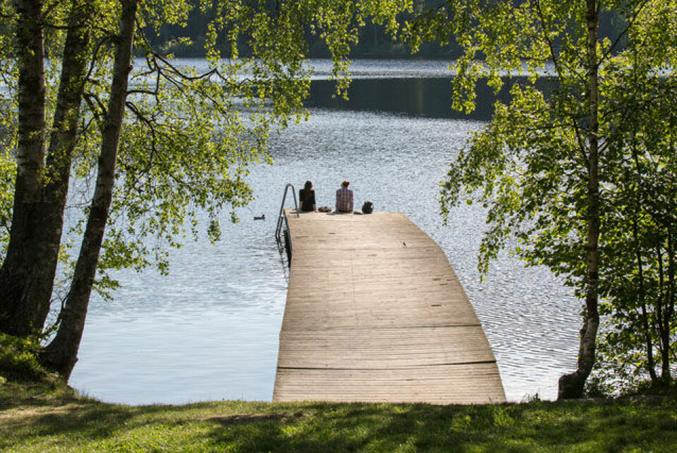 Sognsvann Rundt Medsols med 40 prosent perser Aldeles_Nydelig_Ved_Sognsvann_31A2977.jpg