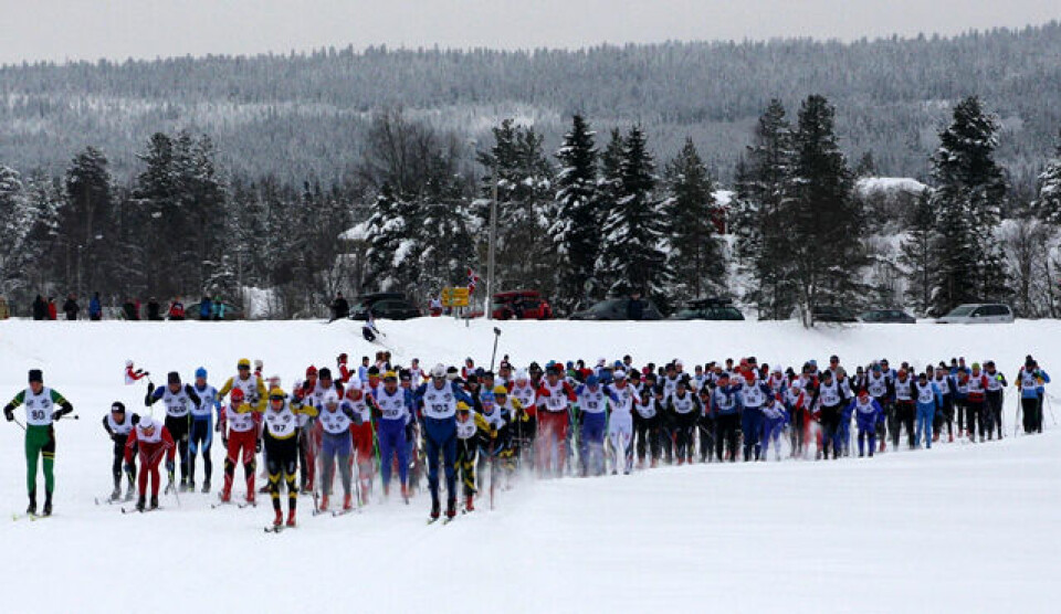 Fra starten i 2012 med 260 løpere fordelt på to puljer på Osensjøen. Rekorden skriver seg fra året etter da 301 stilte til start. (Foto: Erlend Olsen) Fra starten i 2012 med 260 løpere fordelt på to puljer på Osensjøen. Rekorden skriver seg fra året etter da 301 stilte til start. (Foto: Erlend Olsen)