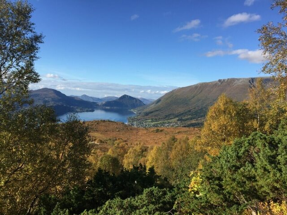 Velkommen til Ørsta fjellmaraton 18. juni IMG_3785.jpg