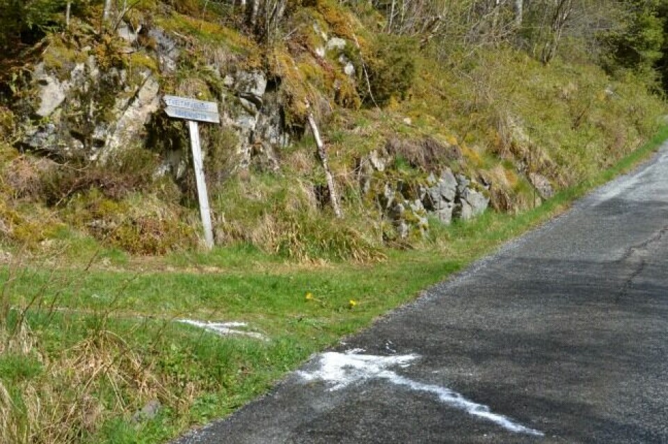 Vestrheim og Vikne først til topps