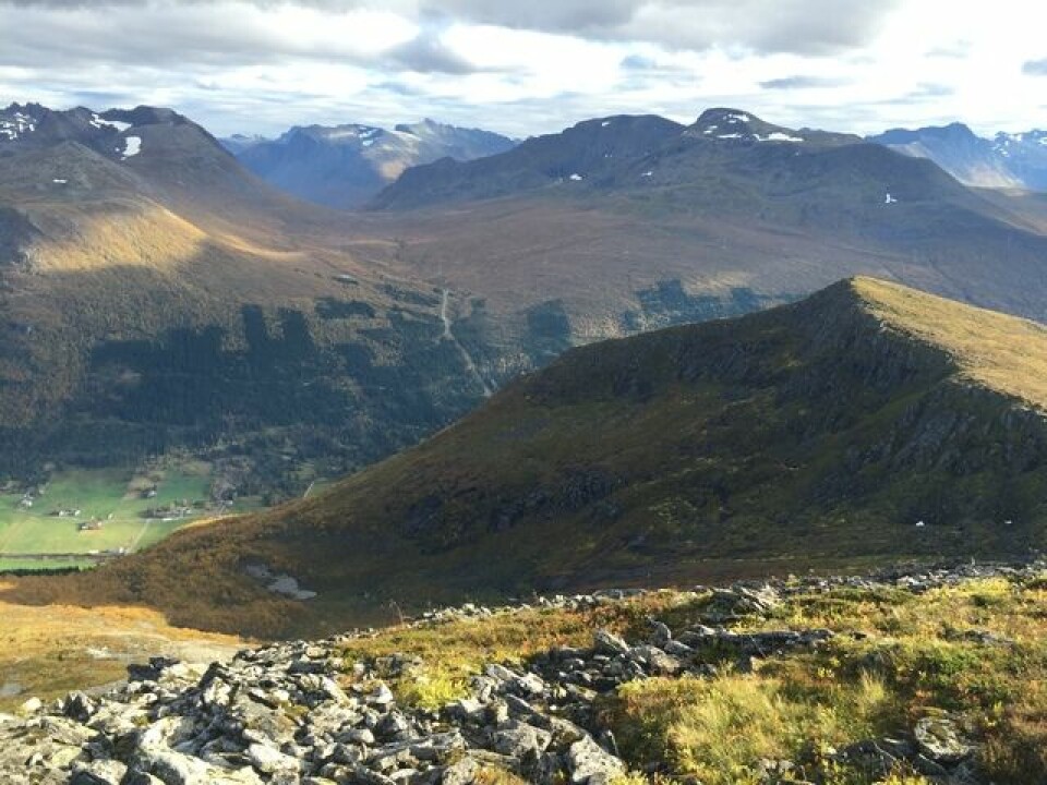 Velkommen til Ørsta fjellmaraton 18. juni IMG_3794.jpg