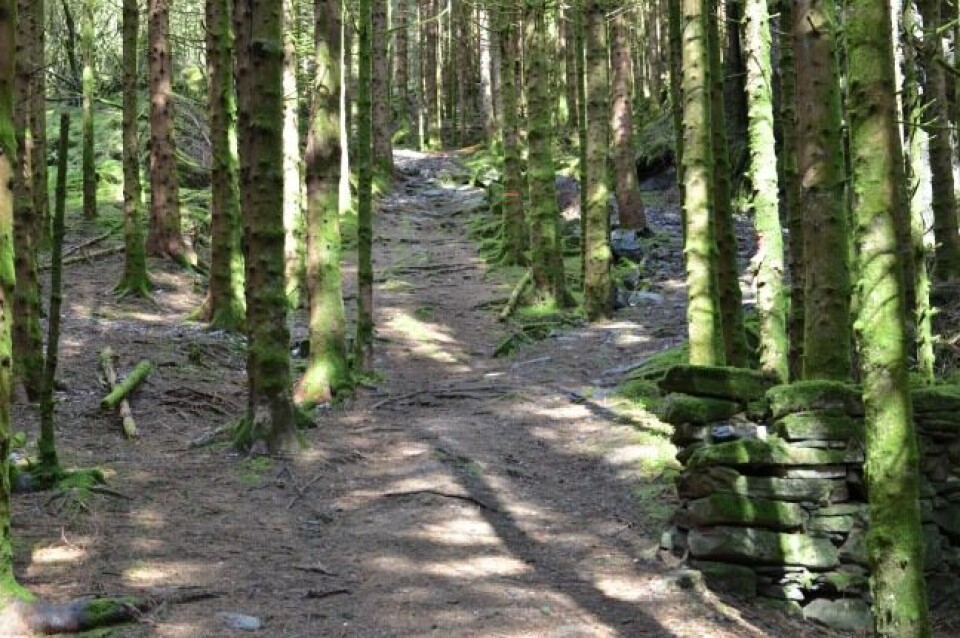 Vestrheim og Vikne først til topps