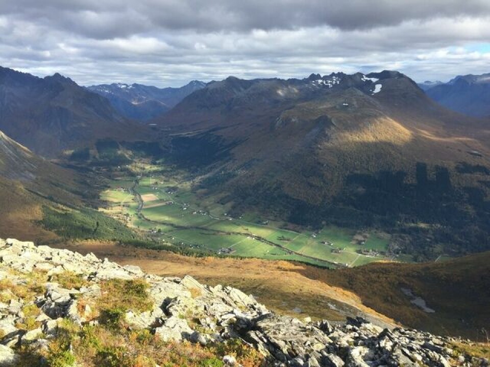 Velkommen til Ørsta fjellmaraton 18. juni IMG_3792.jpg