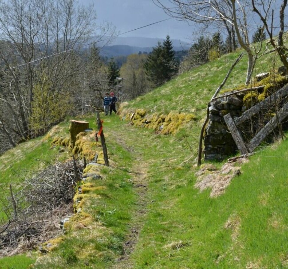 Vestrheim og Vikne først til topps
